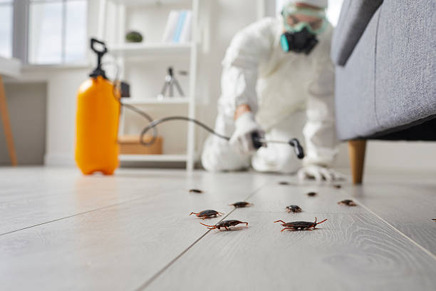 Commercial Kitchen Cockroach Control in Center Moriches